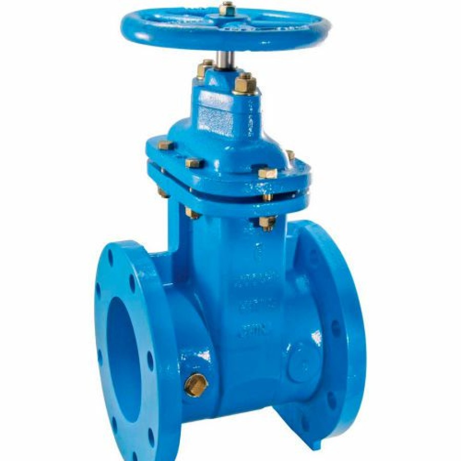 Valves * | Watts 405-Nrs-Rw Cast Iron Gate Valve 3 In Flg 0700104