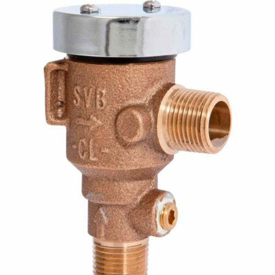 Valves * | Watts 1/2" Lf 289 Vacuum Breaker