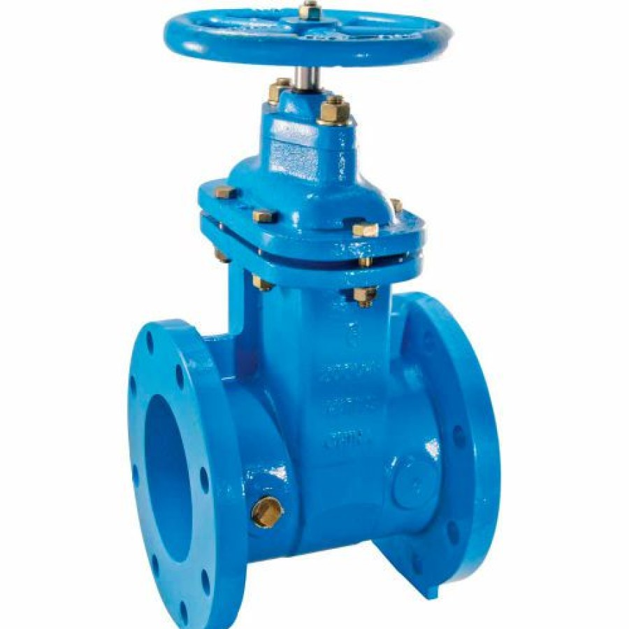 Valves * | Watts 405-Nrs-Rw Cast Iron Gate Valve 2-1/2 In Flg 0700103