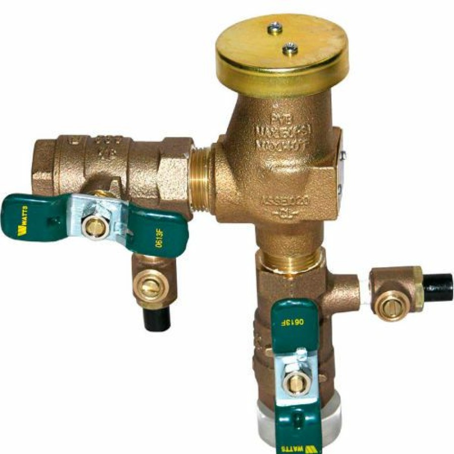 Valves * | Watts 1/2" 800M4-Qt Vacuum Breaker